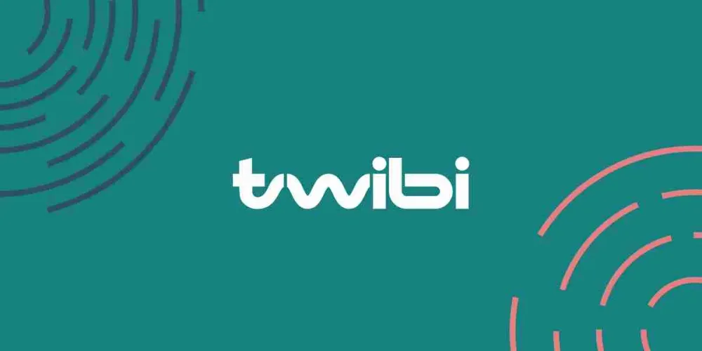 Twibi ChatGPT ad — Paid Ads Agency Focused on B2B Lead Generation in Email Marketing & CRM