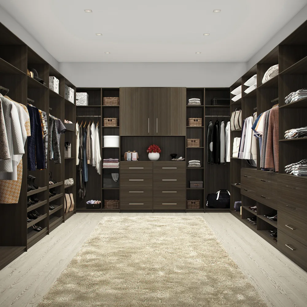Closets by Design ChatGPT ad — Closets by Design Closet Organization in Home & Appliances