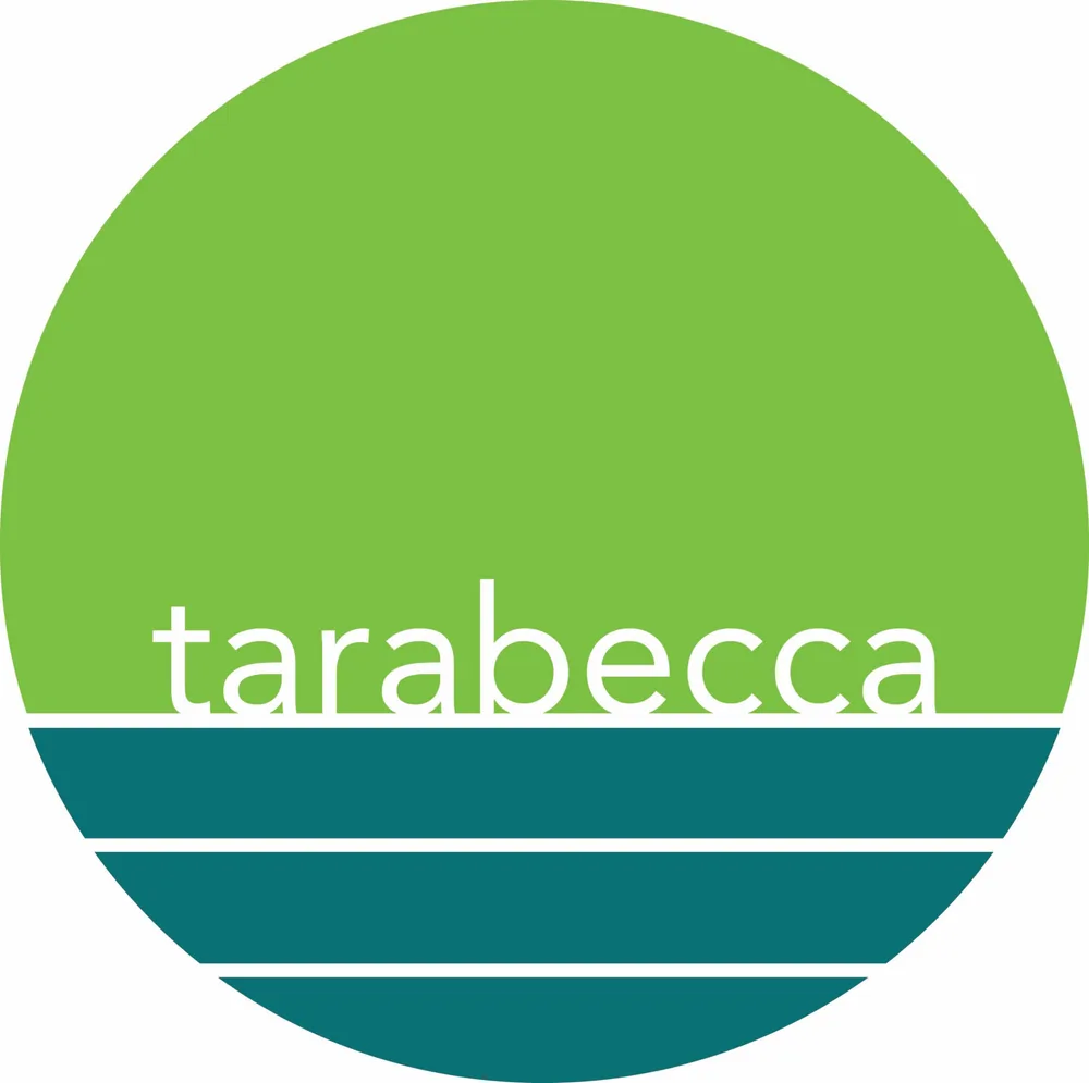 tarabecca llc ChatGPT ad — AI Visibility Audit in Enterprise & Fintech