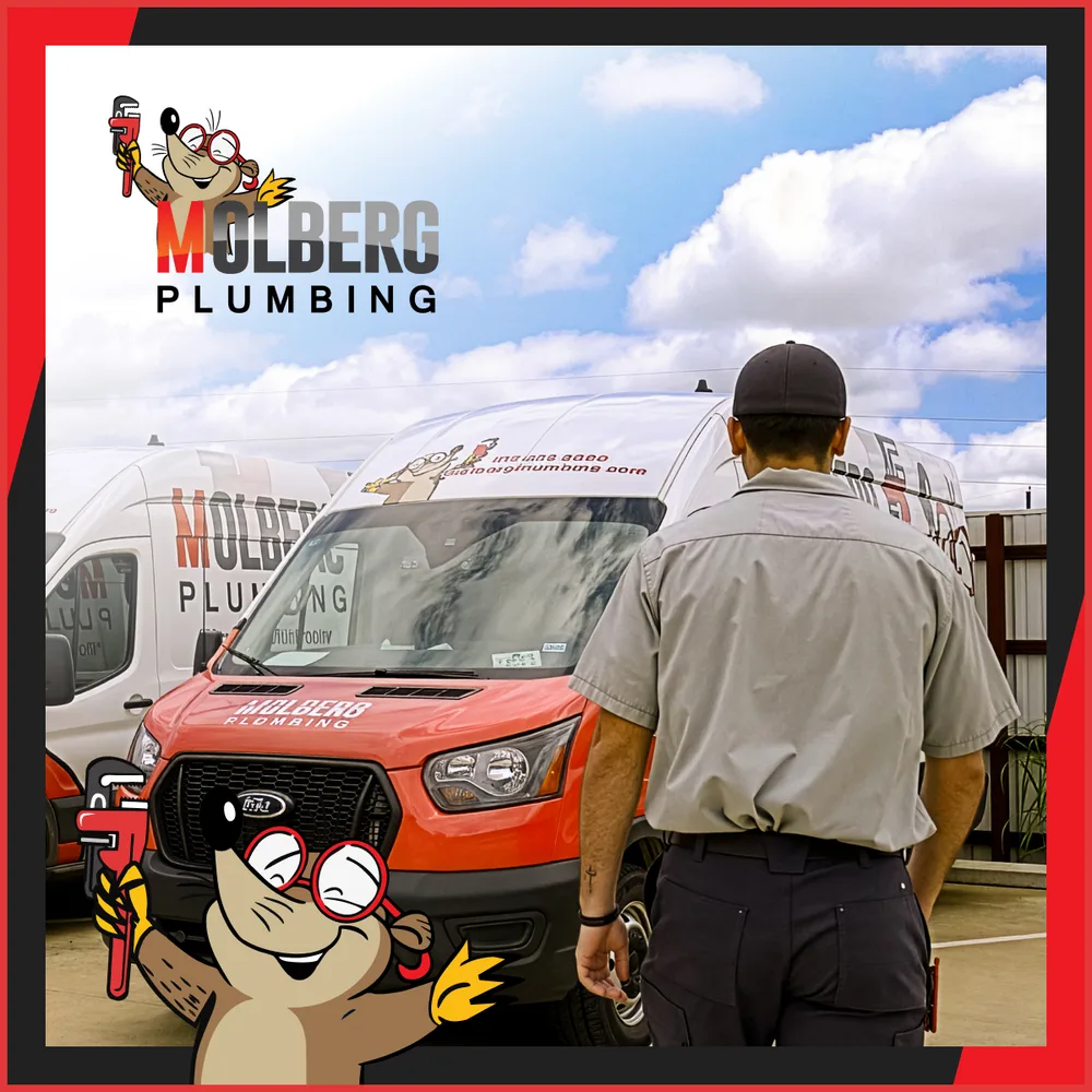 Molberg Plumbing ChatGPT ad — Full Service Plumbers