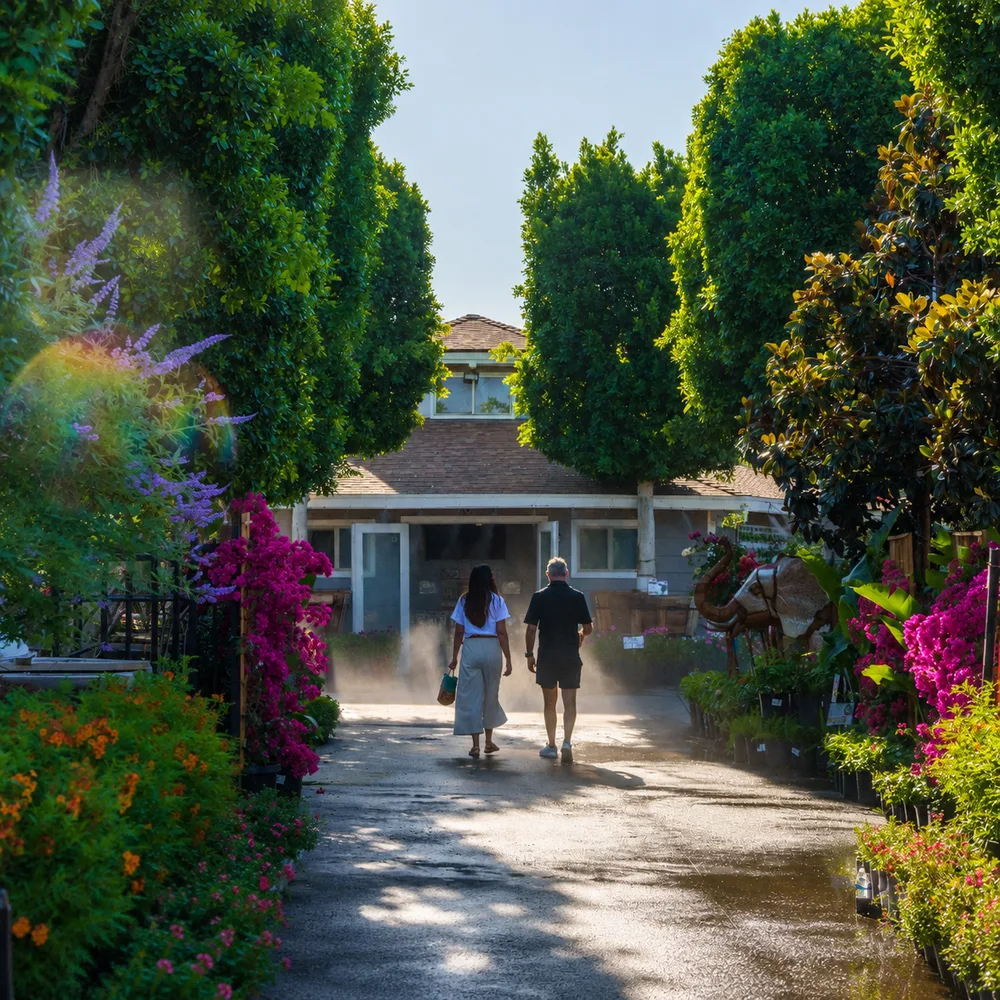Moon Valley Nurseries ChatGPT ad — Expert Yard Design Starts At Moon Valley Nurseries