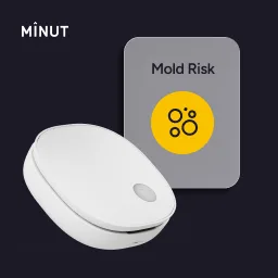 Minut, Inc. ChatGPT ad — Prevent Mold in Rentals in Self Storage & Storage Units