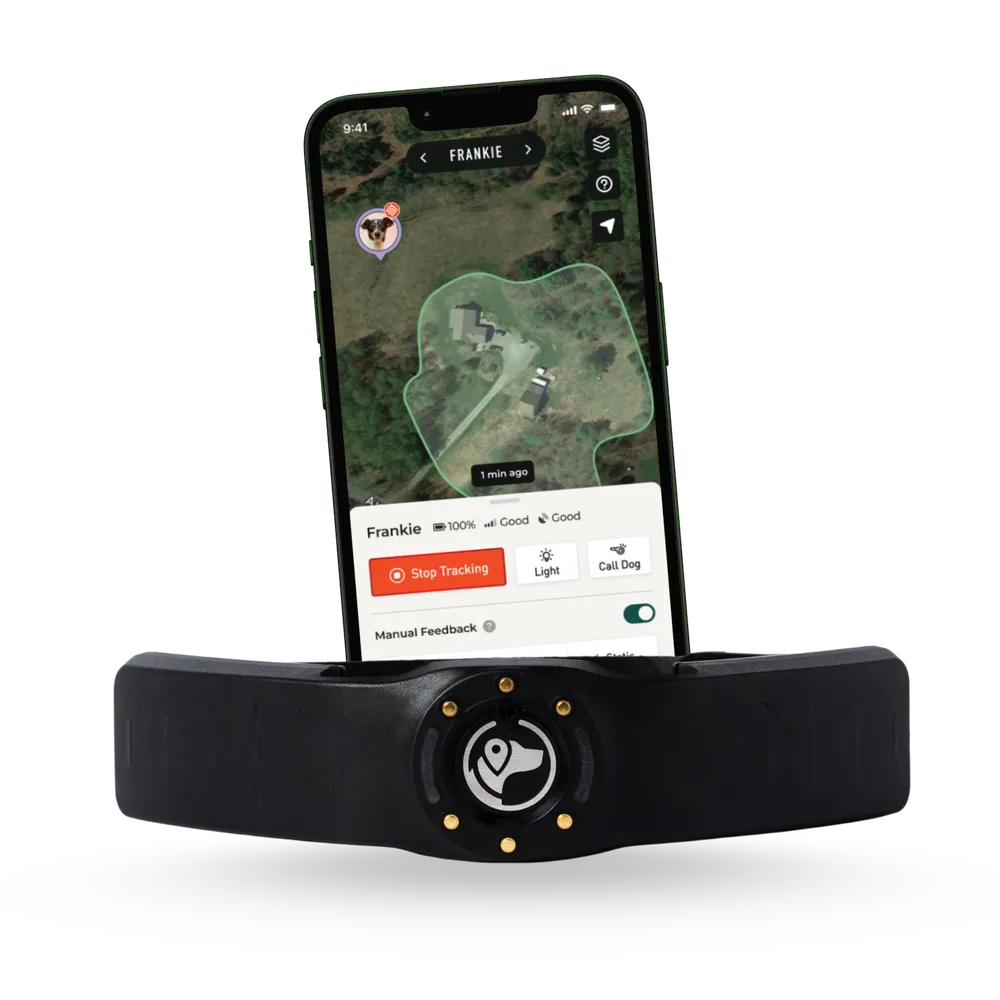 SpotOn GPS Fence ChatGPT ad — Official GPS Collar of the AKC - SpotOn Fence
