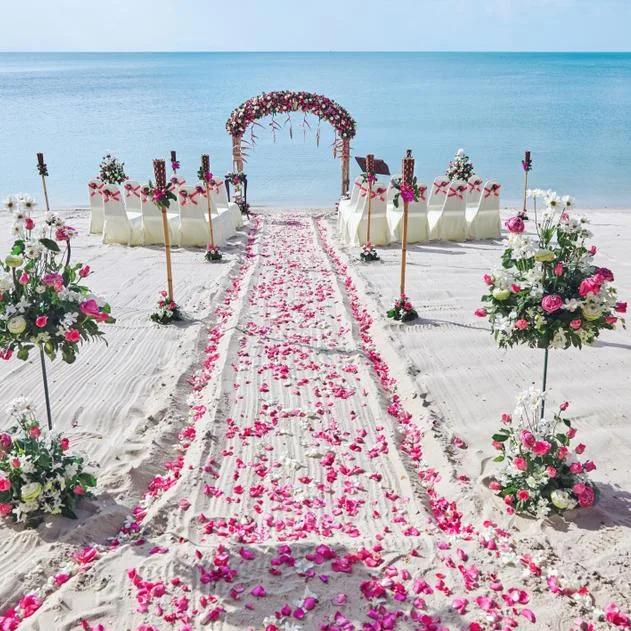 DestinationWeddings.com ChatGPT ad — Plan Your Destination Wedding in Mexico
