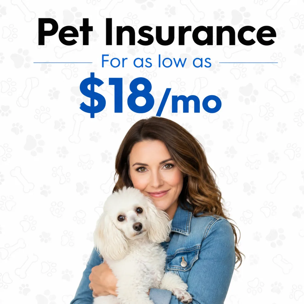 BestMoney ChatGPT ad — Best Pet Insurance 2026 in Landscaping & Lawn Care