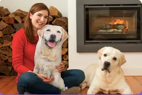 all about vibe llc ChatGPT ad — Turn Your Pet Photo Into A Pillow | Made In USA