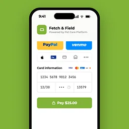 VizyPay ChatGPT ad — Embedded Payments for SaaS