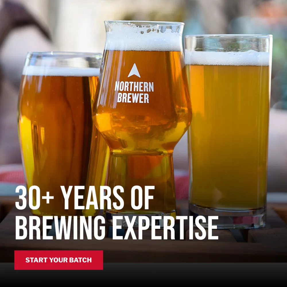 Northern Brewer, LLC ChatGPT ad — Free Shipping Orders +$125 in Meal Kits & Grocery Delivery