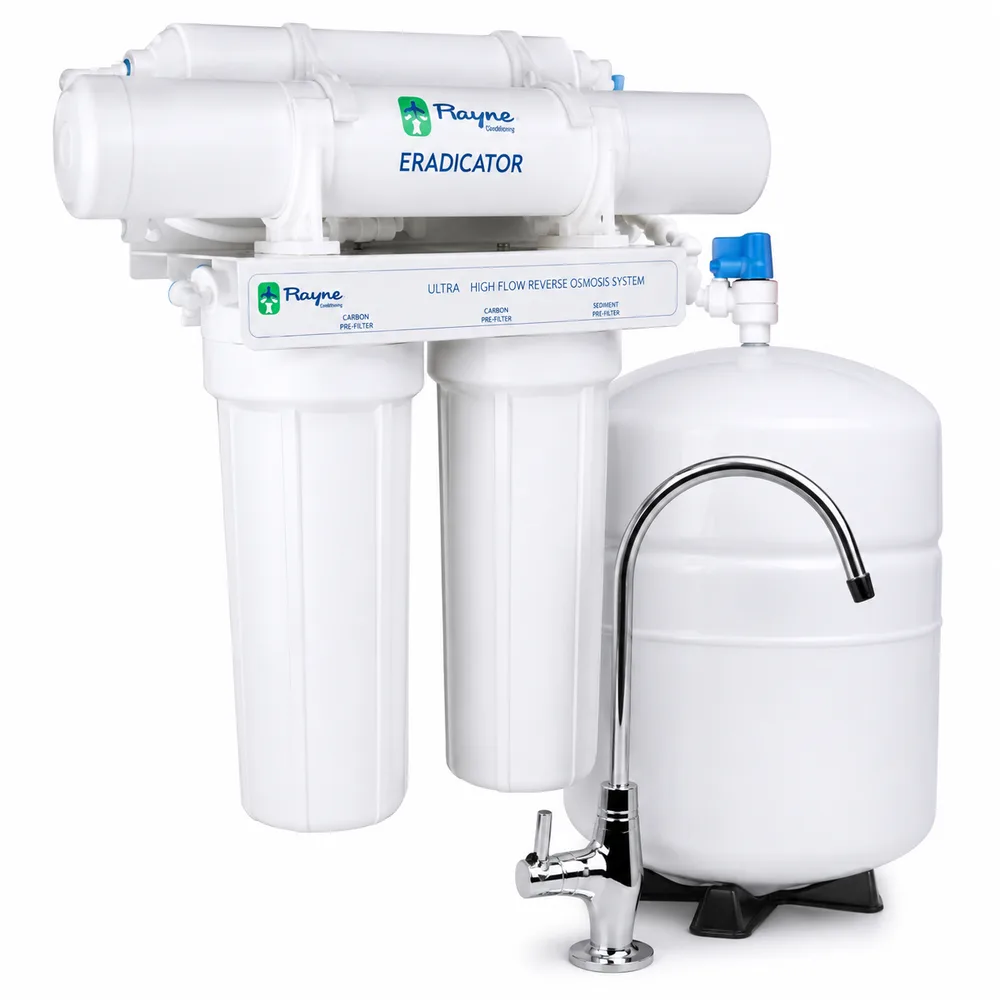 Rayne Water ChatGPT ad — Under-Counter RO Systems in Real Estate
