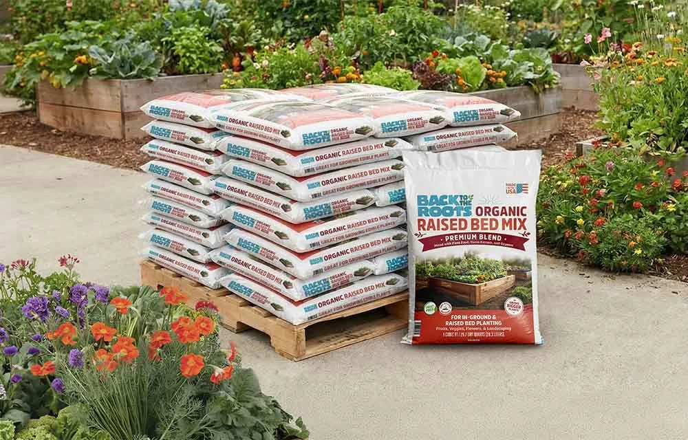 Back to the Roots ChatGPT ad — Shop Back to the Roots Organic Soil & Plant Food