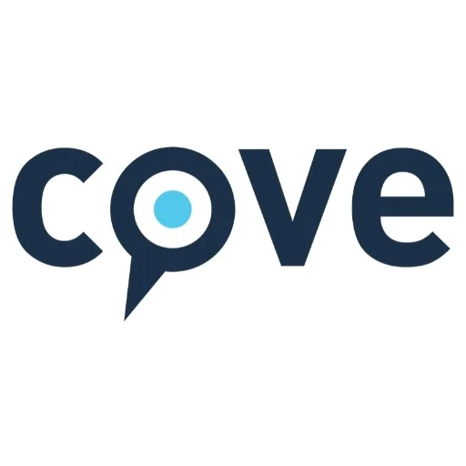 Cove ChatGPT ad — AI built in & a roadmap built around you. in Business Consulting