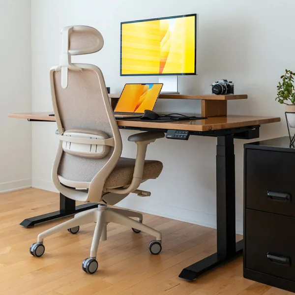 Desky ChatGPT ad — Looking For The Best Chair for Your Back?