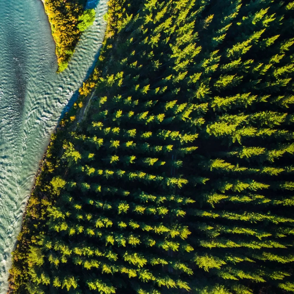 3Degrees ChatGPT ad — 3Degrees | Climate Consulting in Real Estate