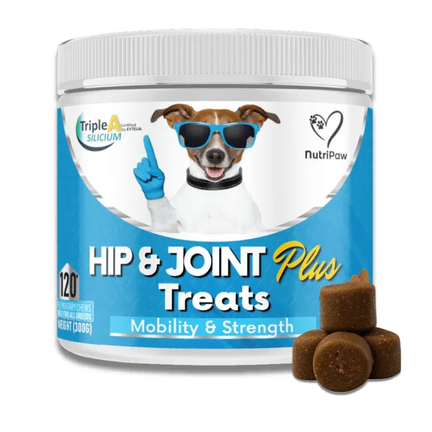 NutriPaw LTD ChatGPT ad — Joint Support for Senior Dogs