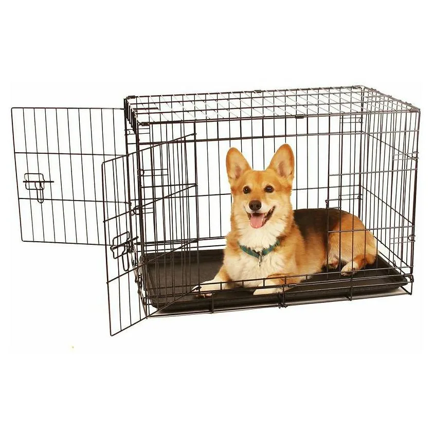Chewy ChatGPT ad — Dog Crate in Pet Care