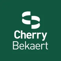Cherry Bekaert Advisory LLC ChatGPT ad — Outsourced Accounting Services in Enterprise & Fintech