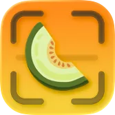 Red Honey LLC ChatGPT ad — Save recipes with one tap. in Meal Kits & Grocery Delivery