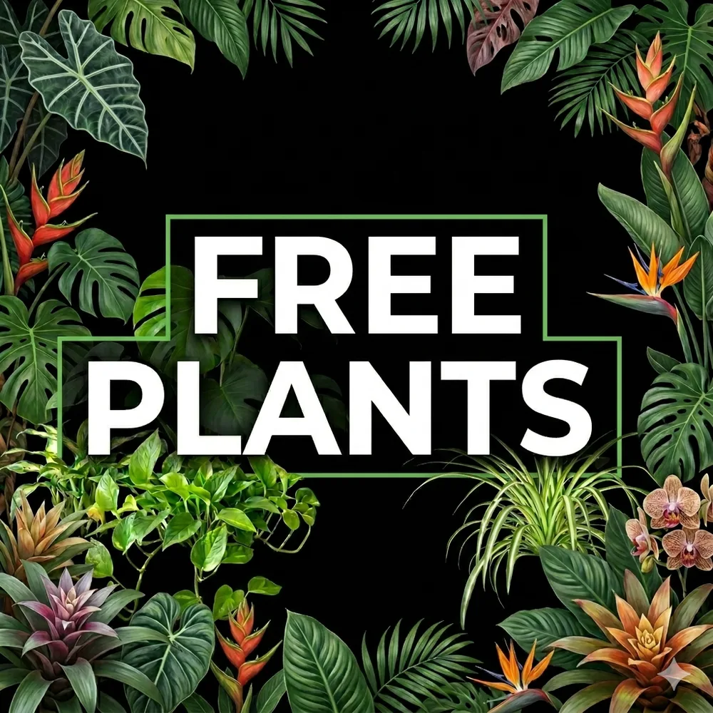 Rare Plant Daddy ChatGPT ad — 🌱 Free Plants ⚡