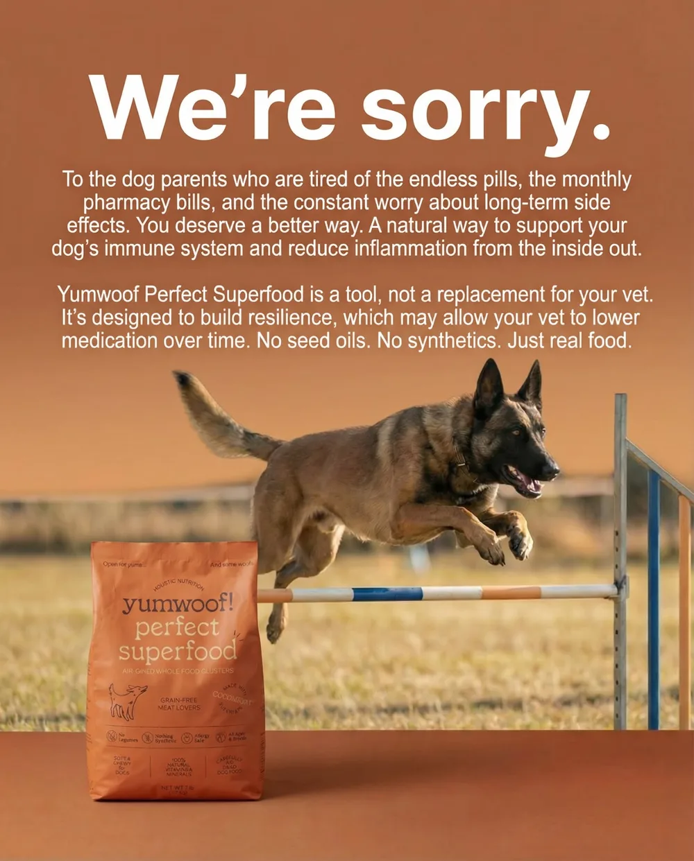 Yumwoof Natural Pet Food Inc. ChatGPT ad — Nothing they don't need. in Supplements & Vitamins