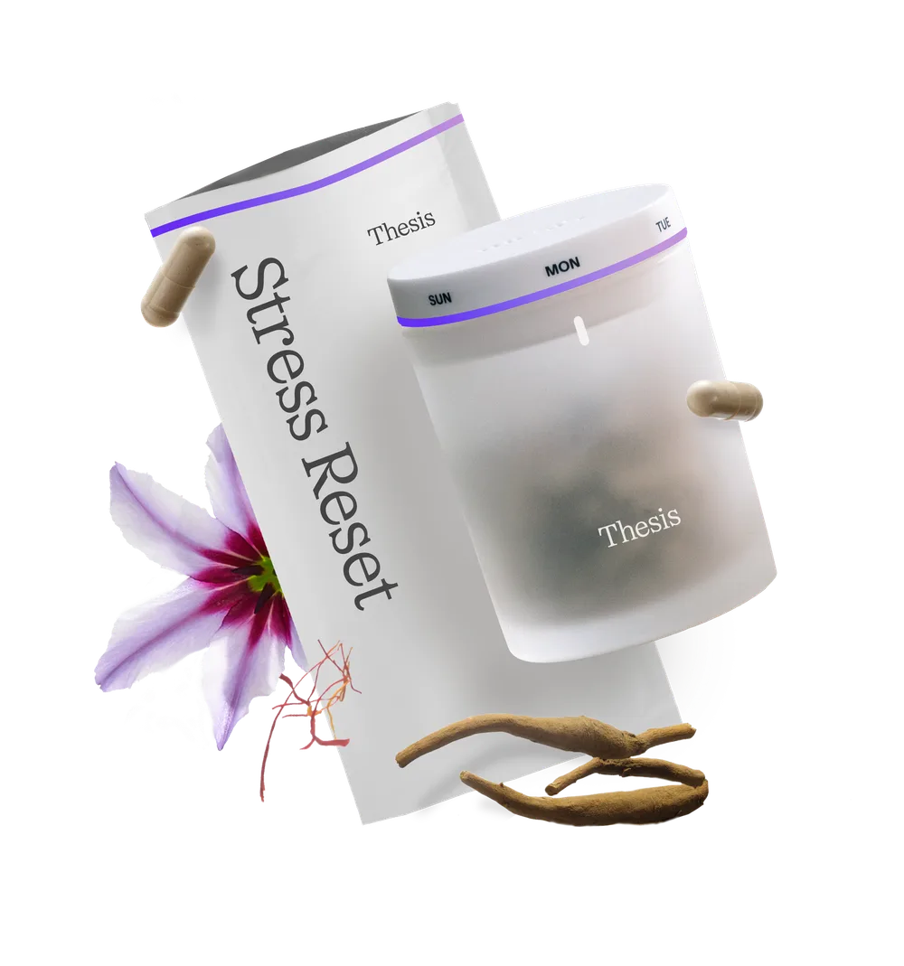Thesis ChatGPT ad — The Stress Supplement Built on Science in E-commerce & Retail