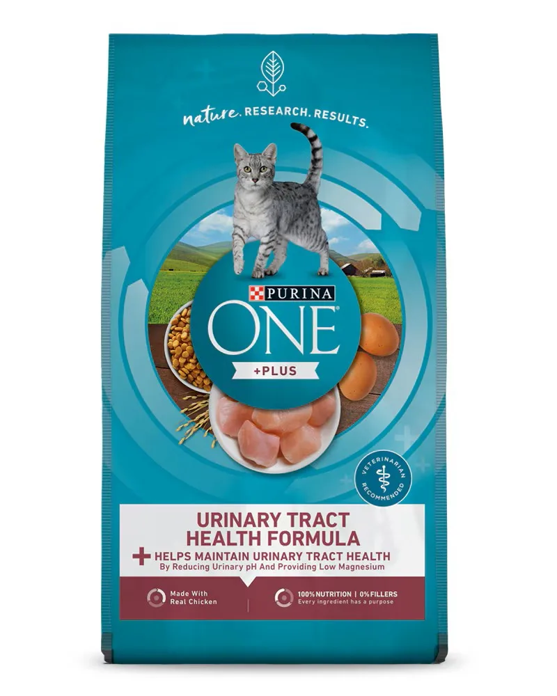 Purina ChatGPT ad — Purina ONE® +Plus Urinary