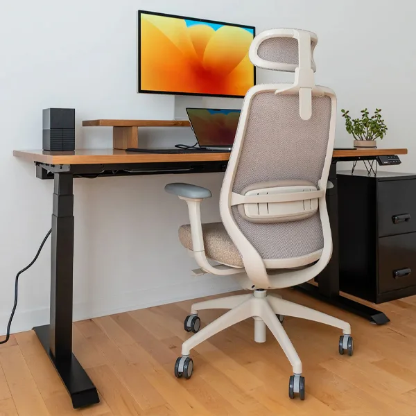 Desky ChatGPT ad — The #1 Ergonomic Chair?